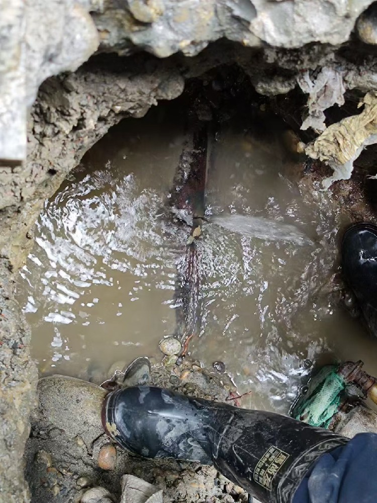 绥化地区绿化水管漏水检测维修